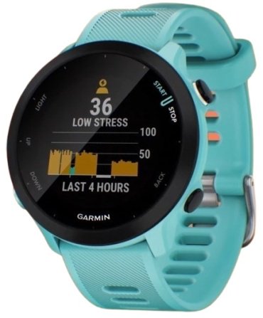 Смарт-часы Garmin Forerunner 55 26 мм голубой-бирюзовый