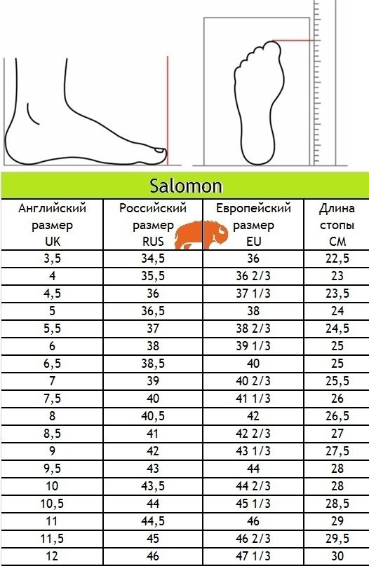 Треккинговые кроссовки Salomon зеленый купить,NaN
