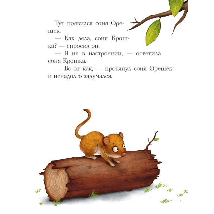 Детская литература Больманн С. История маленькой сони которая весь день была не в духе купить,NaN