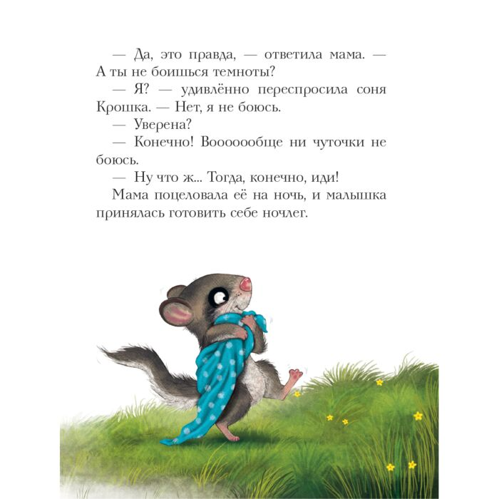 Детская литература Больманн С. История маленькой сони которая совсем не боялась темноты купить,NaN