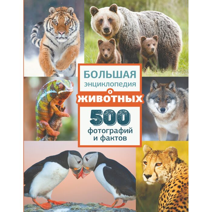 Энциклопедии Большая энциклопедия о животных 500 фотографий и фактов купить,NaN