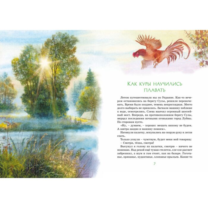 Баруздин С. Зачем белке хвост Рассказы купить,NaN