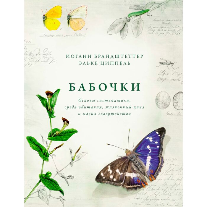 Научно-популярная литература Брандштеттер И. Циппель Э. Бабочки Основы систематики, среда обитания, жизненный цикл и магия совершенства - ForteMarket Научно-популярная литература Брандштеттер И. Циппель Э. Бабочки Основы систематики, среда обитания, жизненный цикл и магия совершенства купить,NaN