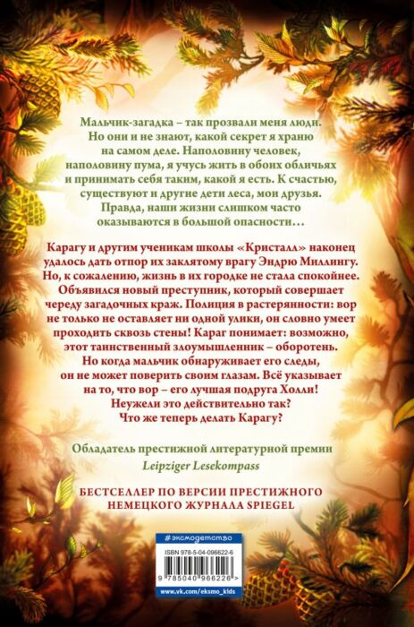 Фантастика Брандис К. Дети леса Тайна Холли купить,NaN