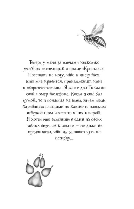 Фантастика Брандис К. Дети леса Тайна Холли купить,NaN