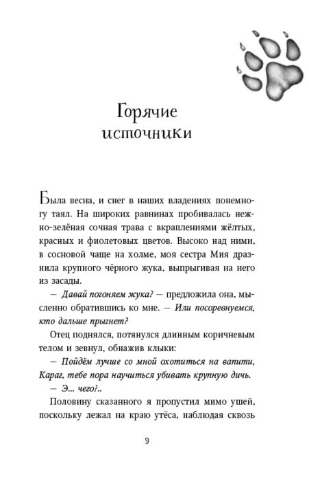 Фантастика Брандис К. Дети леса Тайна Холли купить,NaN