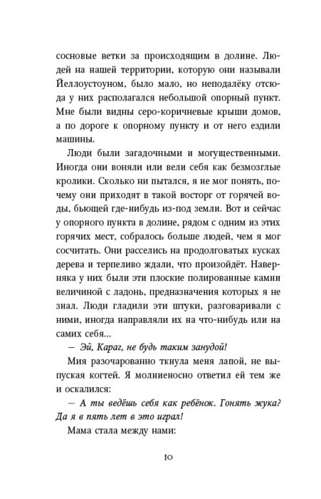 Фантастика Брандис К. Дети леса Тайна Холли купить,NaN