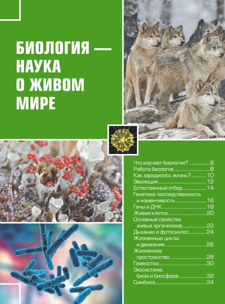 Энциклопедия Большая детская 4D энциклопедия с дополненной реальностью купить,NaN