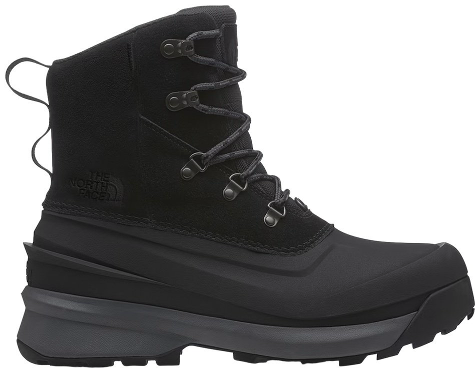 Ботинки The North Face NF0A5LW3KT0 черный купить,NaN