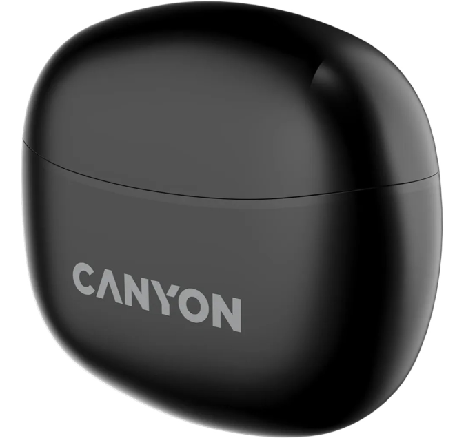 Наушники Canyon TWS-5 CNS-TWS5B Black купить,9990