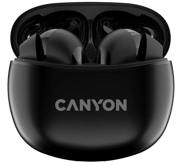 Наушники Canyon TWS-5 CNS-TWS5B Black купить,9990
