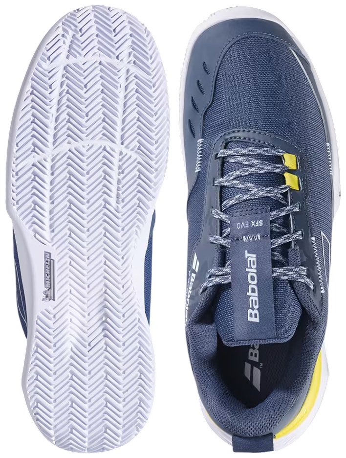 Кроссовки Babolat SFX Evo Clay серый, синий купить,55900