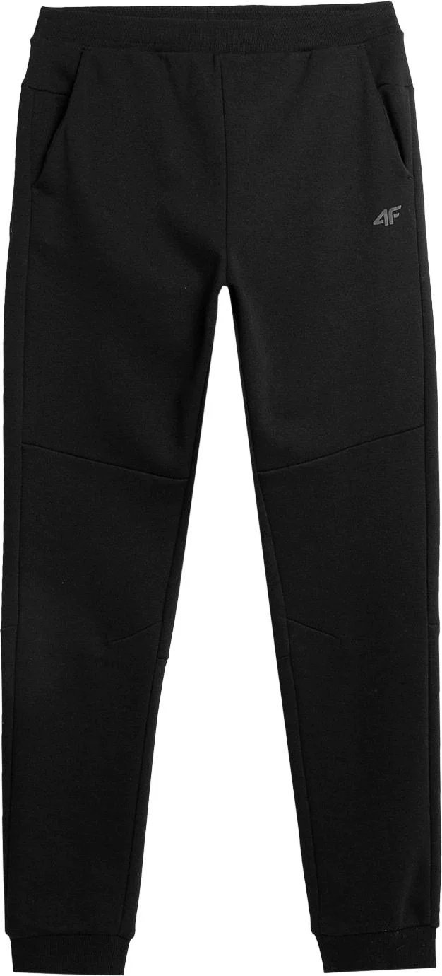 Спортивные брюки 4F черный купить,NaN