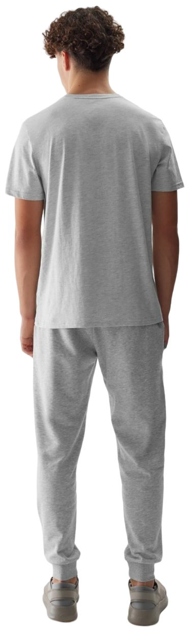 Спортивные брюки 4F серый купить,NaN