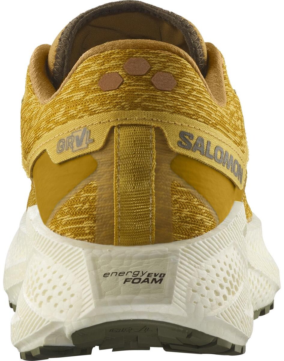 Кроссовки Salomon Aero Glide 3 Grvl мультиколор