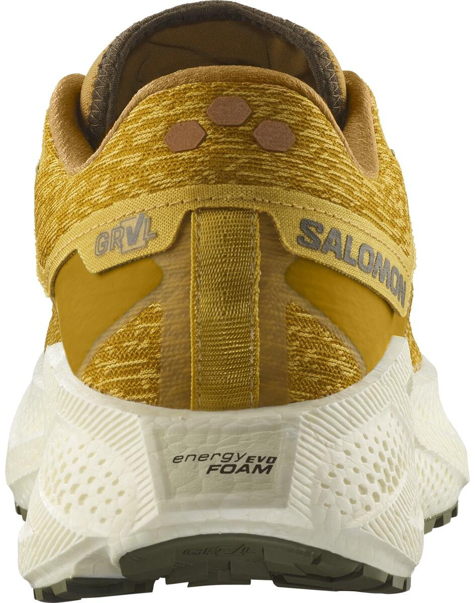 Кроссовки Salomon Aero Glide 3 Grvl мультиколор купить,NaN