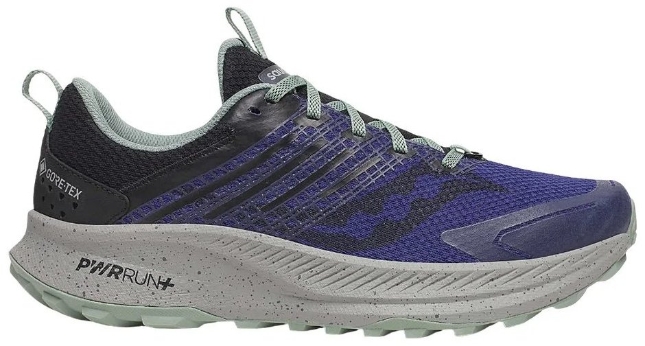 Кроссовки Saucony RIDE TR2 GTX фиолетовый купить,NaN