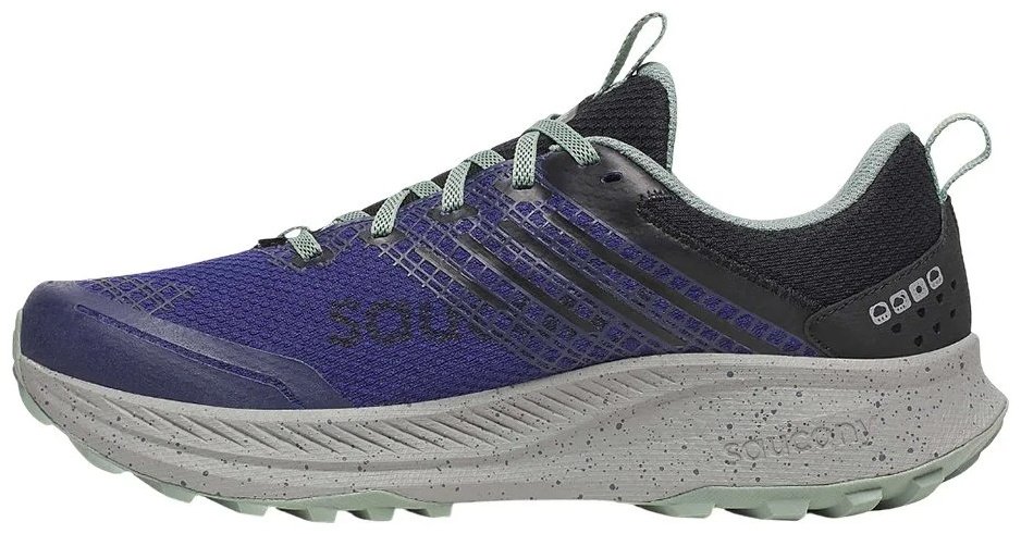 Кроссовки Saucony RIDE TR2 GTX фиолетовый купить,NaN