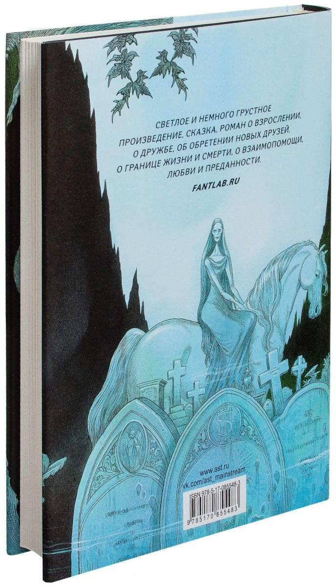 Детская литература Гейман Н. История с кладбищем купить,NaN
