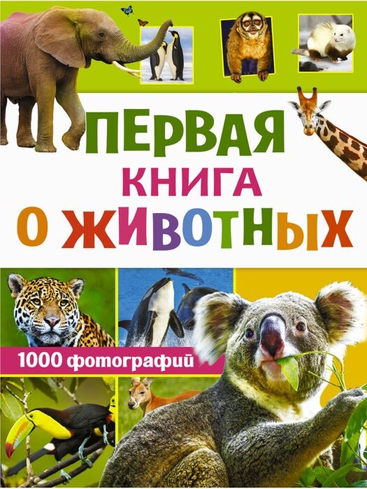 Энциклопедии Вайткене Л. Д. Первая книга о животных. 1000 фотографий купить,NaN