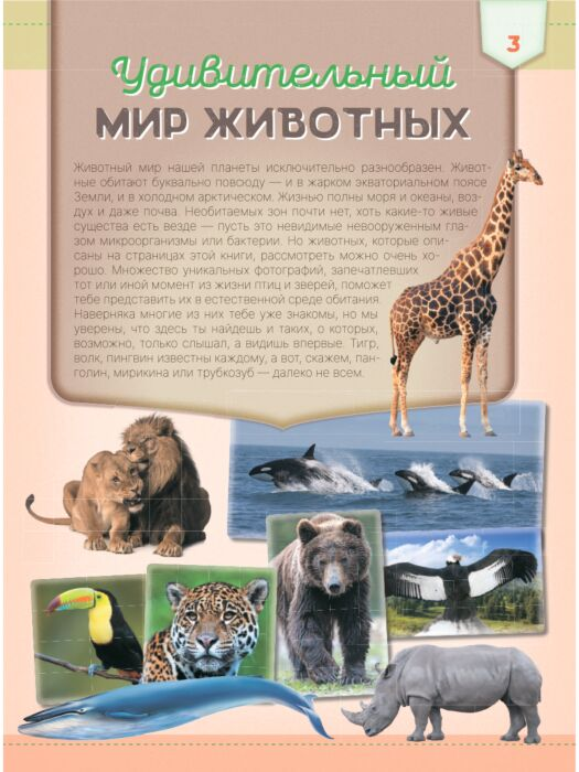 Энциклопедии Вайткене Л. Д. Первая книга о животных. 1000 фотографий купить,NaN