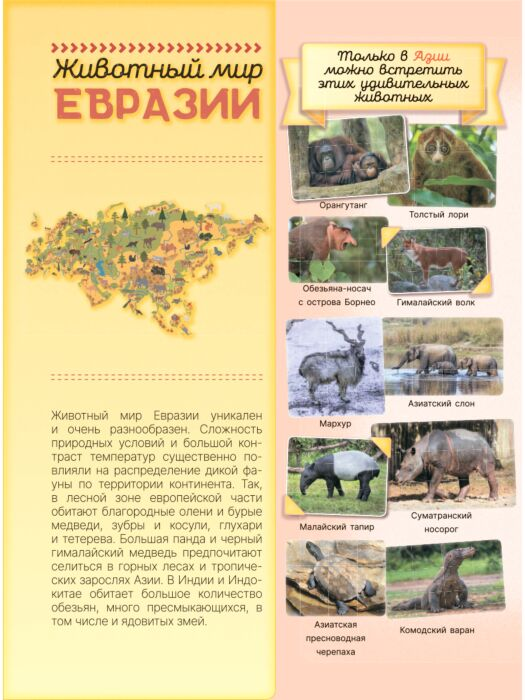 Энциклопедии Вайткене Л. Д. Первая книга о животных. 1000 фотографий купить,NaN