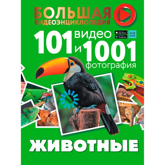 Энциклопедии Вайткене Л. Д.  Хомич Е. О. Животные 101 видео и 1001 фотография  купить,NaN