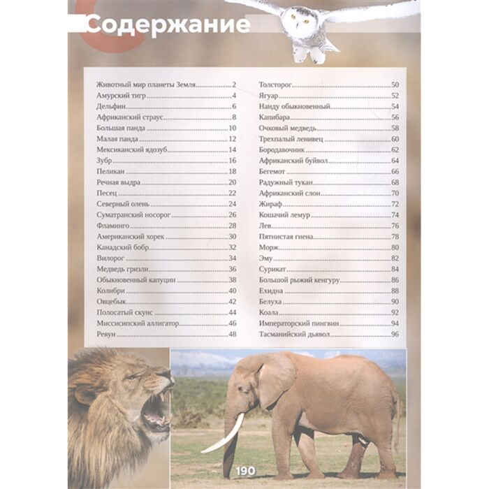Энциклопедии Вайткене Л. Д.  Хомич Е. О. Животные 101 видео и 1001 фотография  купить,NaN