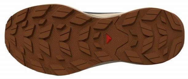 Кроссовки Salomon SHOES ELIXIR ACTIV GTX бежевый, синий купить,NaN