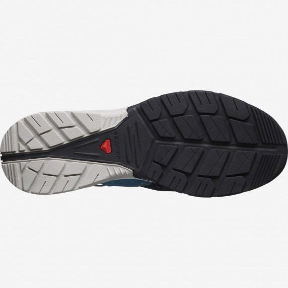 Salomon Tech Amphib 4 L40985200 серый купить,NaN