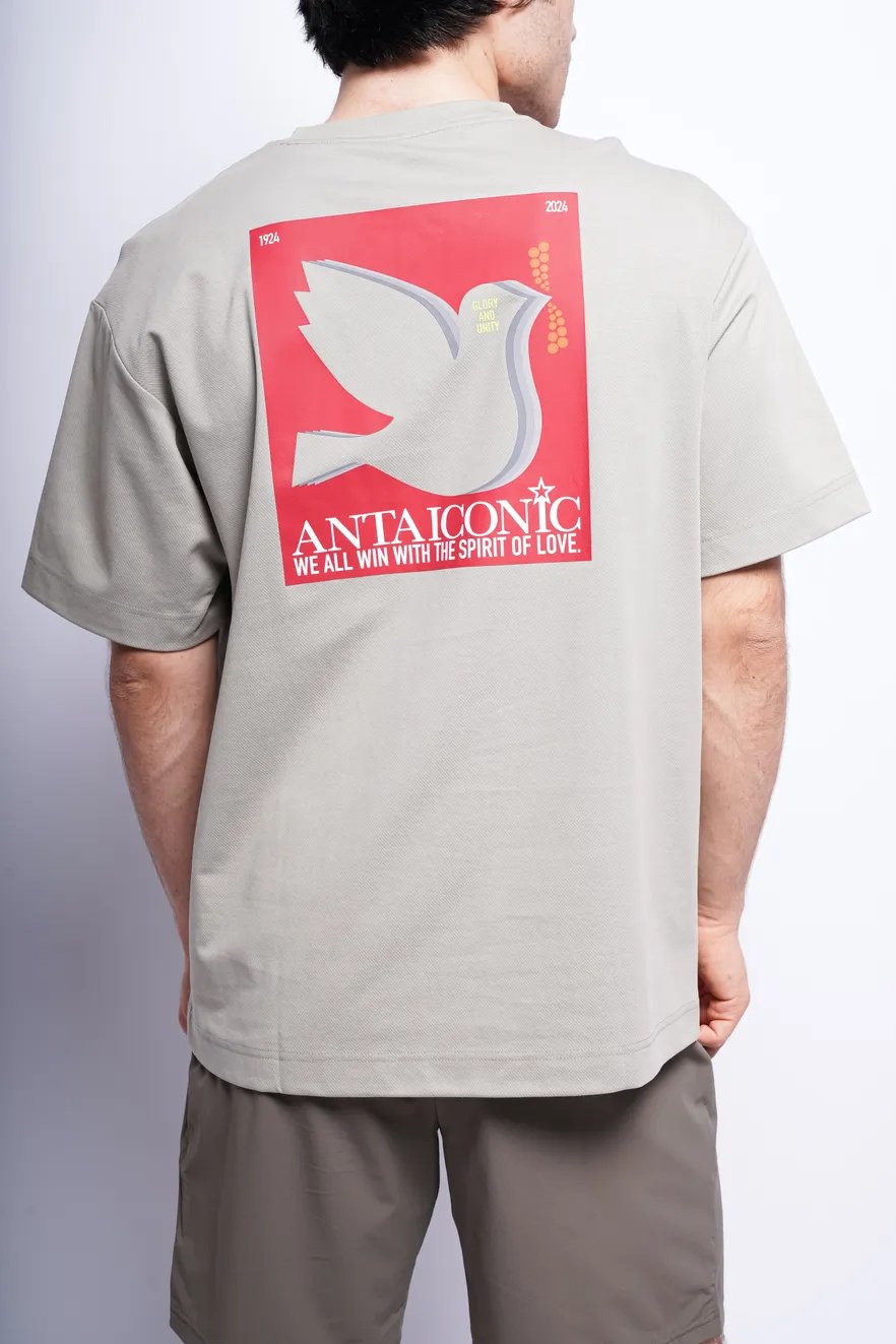 Футболка Anta 852428142 серые L 50-52 купить,NaN
