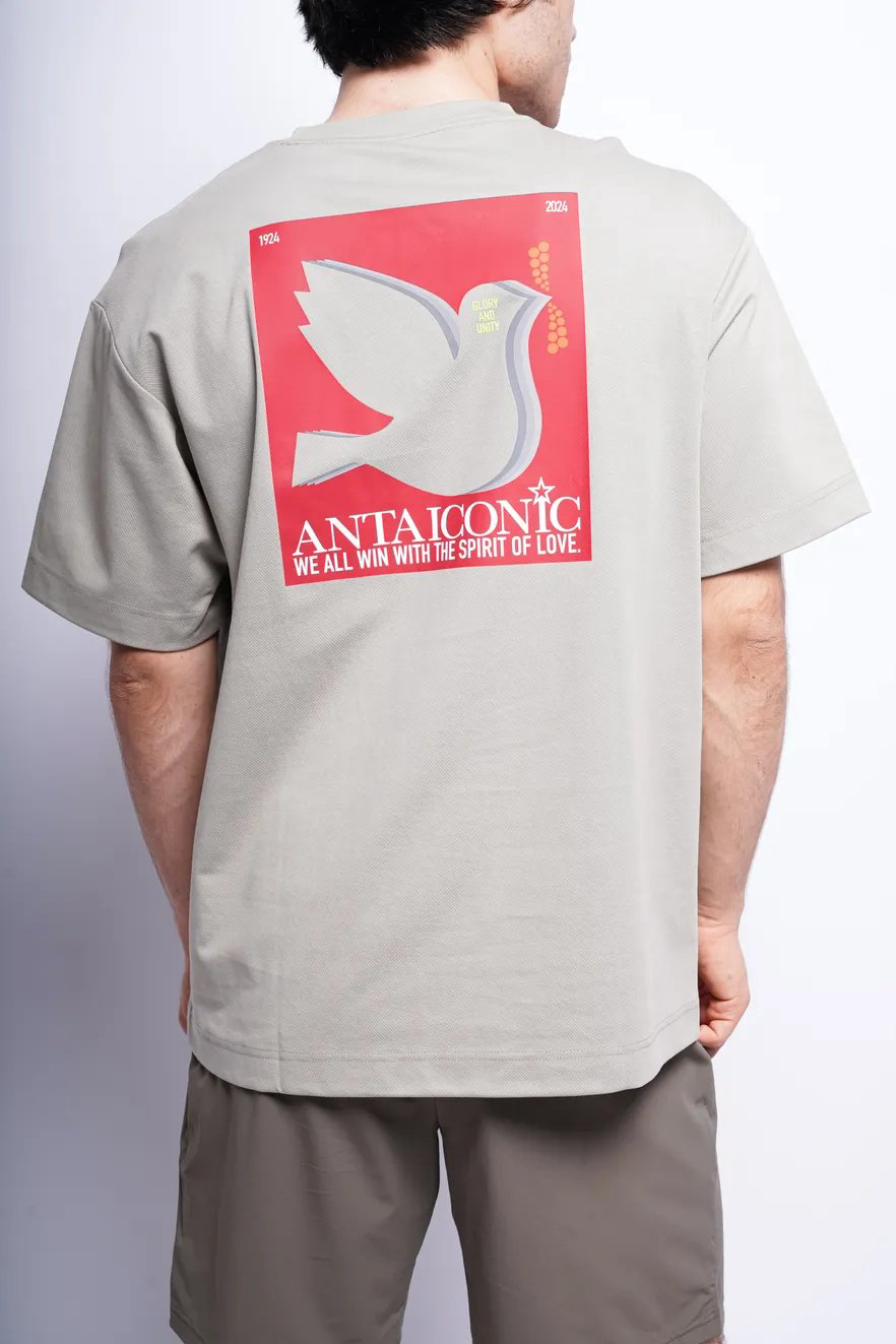 Футболка Anta 852428142 серые L 50-52 купить,NaN