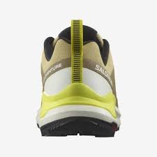 Кроссовки Salomon X-Adventure золотистый купить,NaN