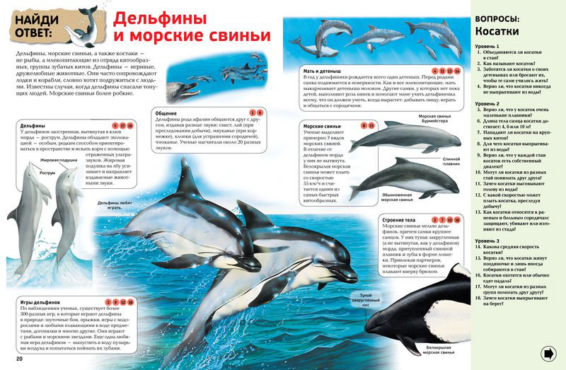 Энциклопедия Гиффорд К. и др. Интерактивная энциклопедия для школьников  купить,NaN