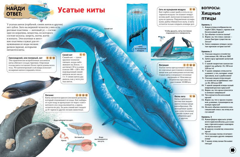 Энциклопедия Гиффорд К. и др. Интерактивная энциклопедия для школьников  купить,NaN