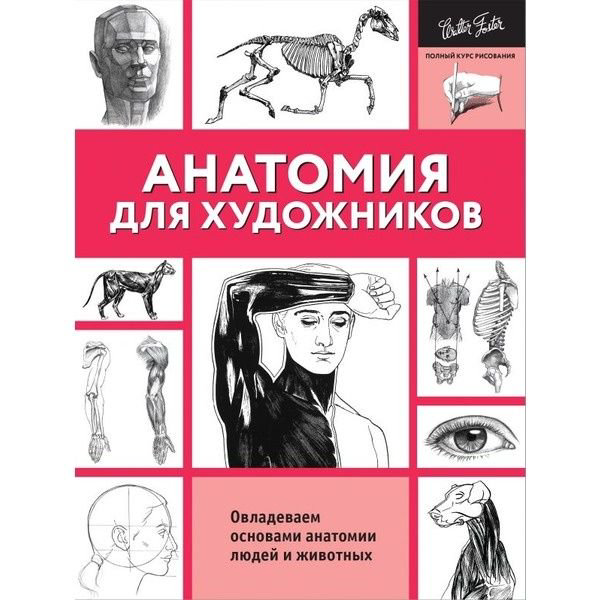 Учебная литература Голдман К. Анатомия для художников купить,NaN