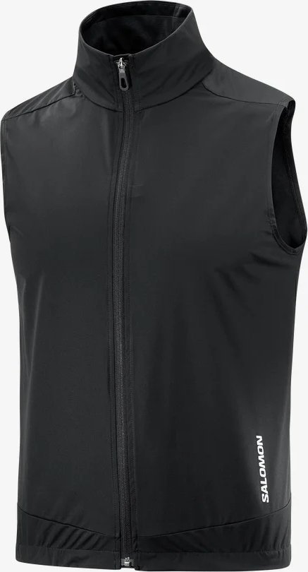 Жилет Salomon черный купить,NaN
