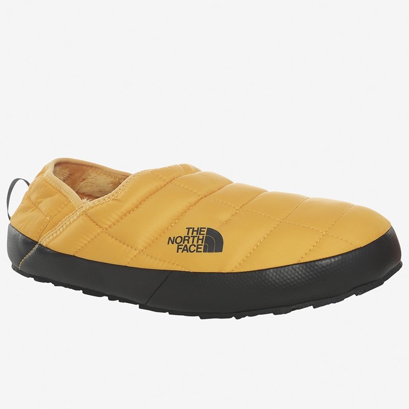 Мокасины The North Face NF0A3UZNZU3 желтый купить,NaN