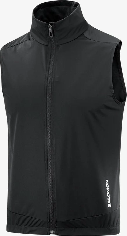 Жилет Salomon черный купить,NaN