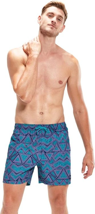 Шорты Speedo мультиколор купить,24900