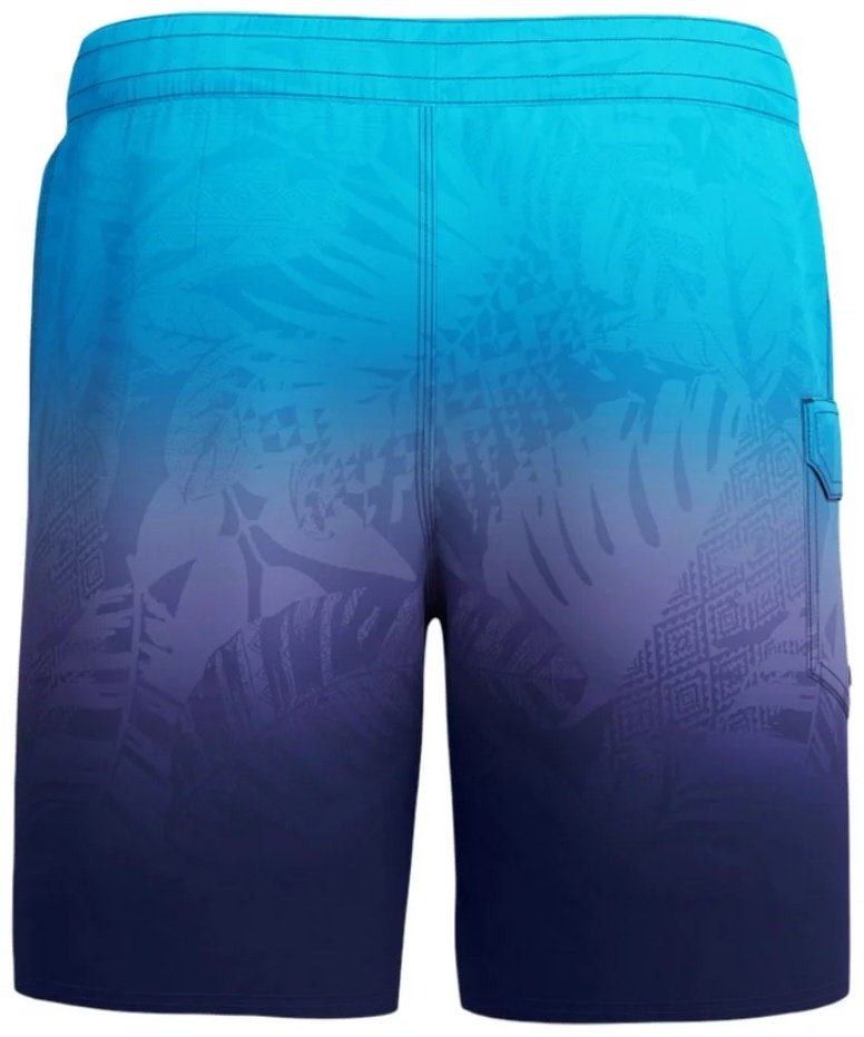 Шорты Speedo мультиколор купить,38900