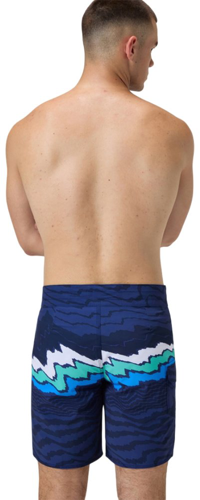 Шорты Speedo мультиколор купить,38900