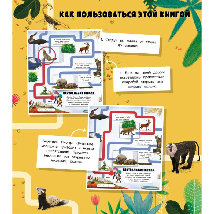 Детский досуг Вокруг света Лабиринты с окошками купить,NaN