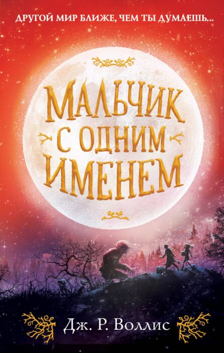 Десткая литература Воллис Дж. Р. Мальчик с одним именем купить,NaN