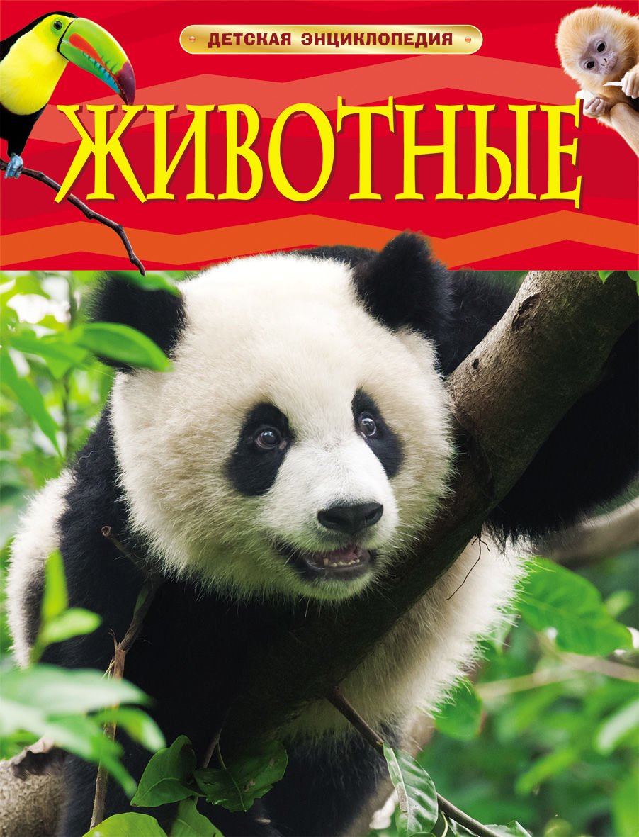 Энциклопедия Смит М. Животные. Детская энциклопедия купить,NaN