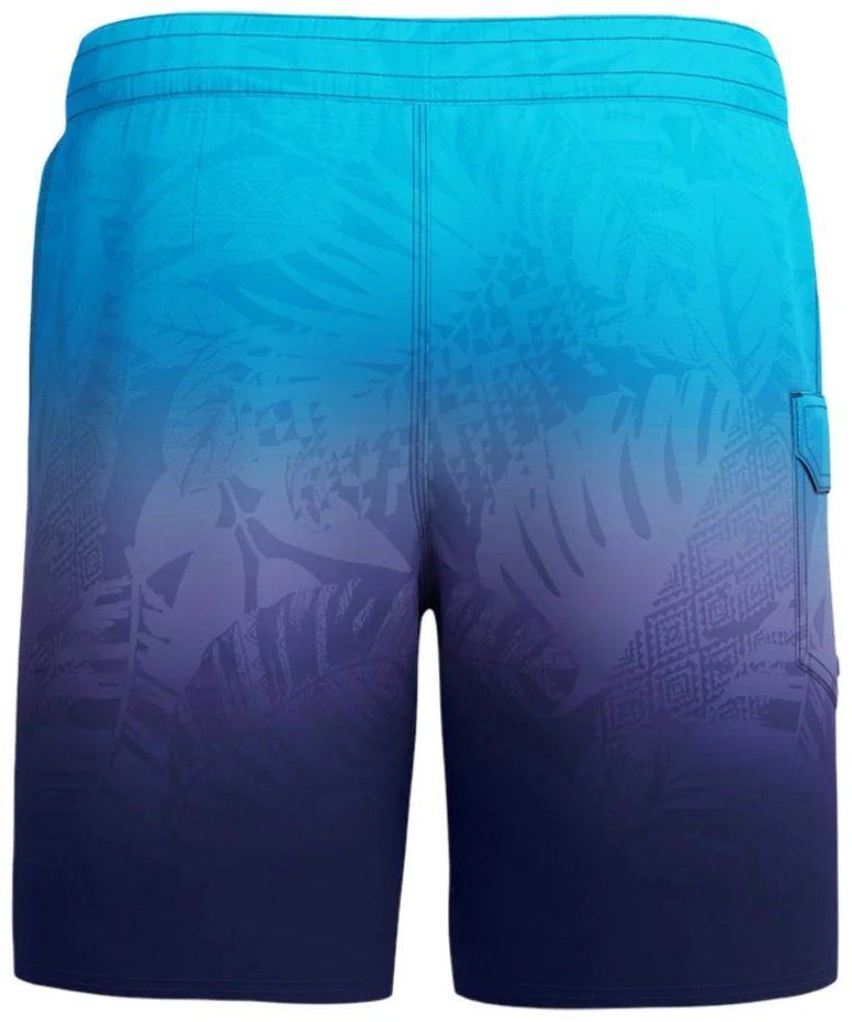 Шорты Speedo мультиколор купить,38900