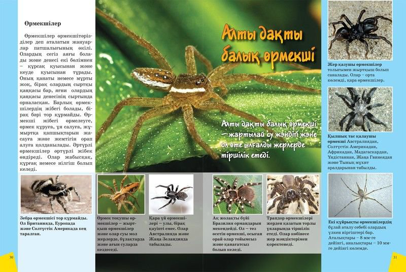Энциклопедия Жануарлар туралы үлкен энциклопедия Большая энциклопедия о животных купить,NaN