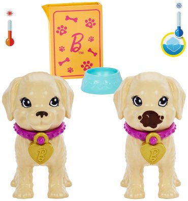 Кукла-модель BARBIE Собачий приют HKD860, 29 см