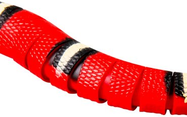 Животное на радиоуправлении INNOvation 9909S/RD - ForteMarket Животное на радиоуправлении INNOvation 9909S/RD купить,0