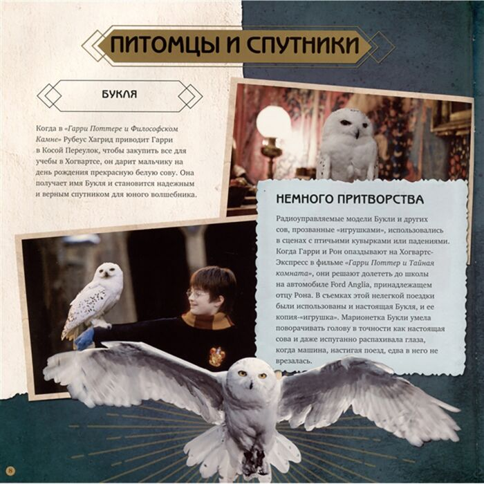 Детский нон-фикшн Гарри Поттер Фантастические существа Путеводитель по миру животных магической вселенной купить,NaN